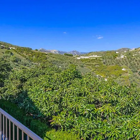 Miracosta Frigiliana
